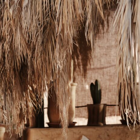 Palmes séchées, cactus et coussins blancs, décor de la terrasse d'AZULIK I INLA, médina de Marrakech